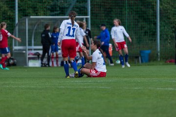 Bild 253 - B-Juniorinnen HSV - FF USV Jena : Ergebnis: 3:1